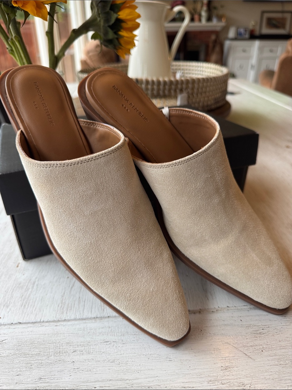 Banana Republic Beige Suede Pointed Mule